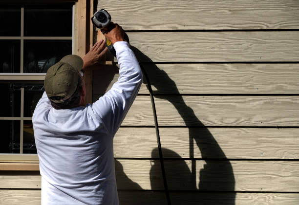 Best Steel Siding Installation  in Johnson City, KS