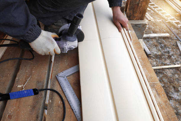 Best Historical Building Siding Restoration  in Johnson City, KS